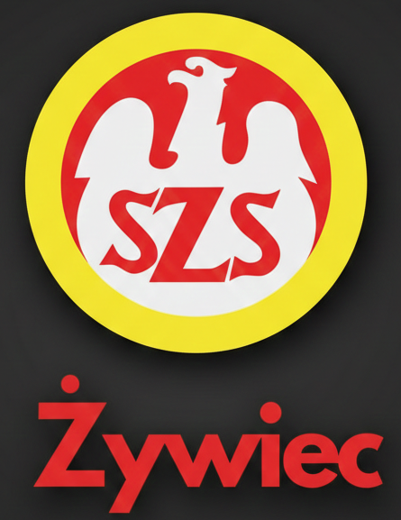 Powiatowy Szkolny Związek Sportowy